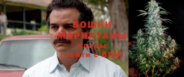 гашик Карпинск