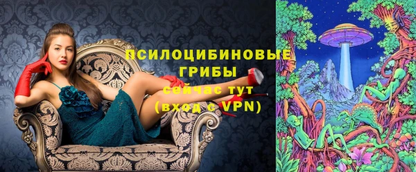 бошки Касимов