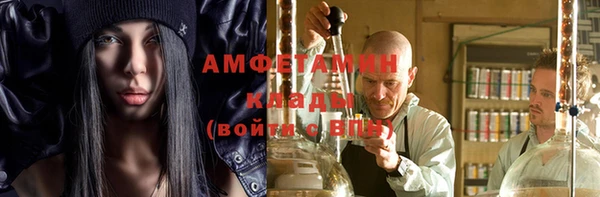 гашик Карпинск