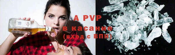 гашик Карпинск