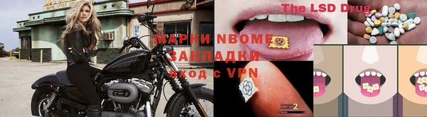 гашик Карпинск