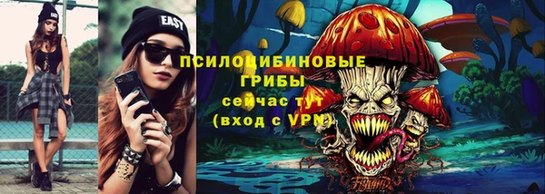 гашик Карпинск