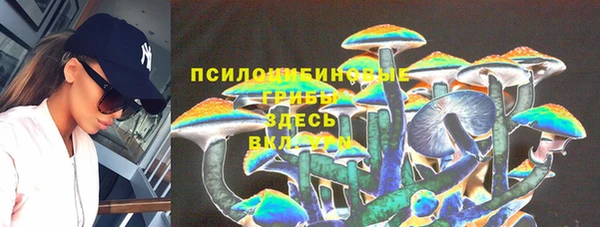 бошки Касимов