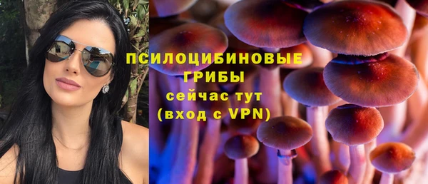 гашик Карпинск